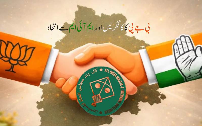 !  مہاراشٹر میں نئی سیاسی صف بندی: بی جےپی، کااویسی کی پارٹی سے اتحاد